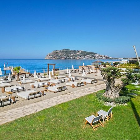 Day One Beach Resort & Spa - Adult Only Alanya Exterior foto Beach at the Hotel